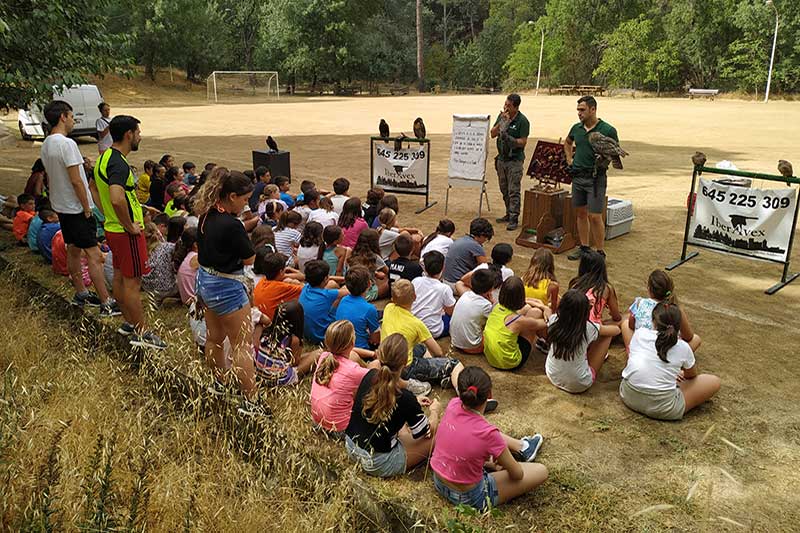 Gestión de Fauna y Cetrería Ávila - Expertos Control de Plagas | IberAvex