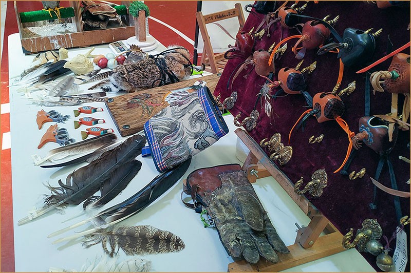 Gestión de Fauna y Cetrería Ávila - Expertos Control de Plagas | IberAvex
